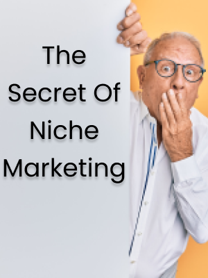 Niche Marketing Video Guide